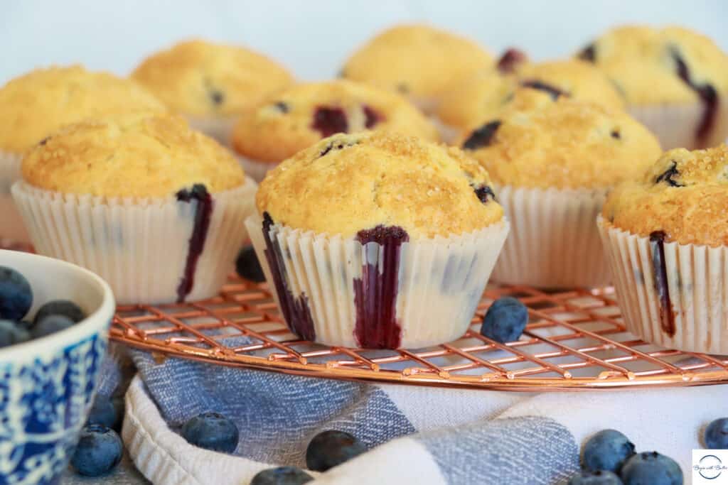 Blueberry muffins picture.