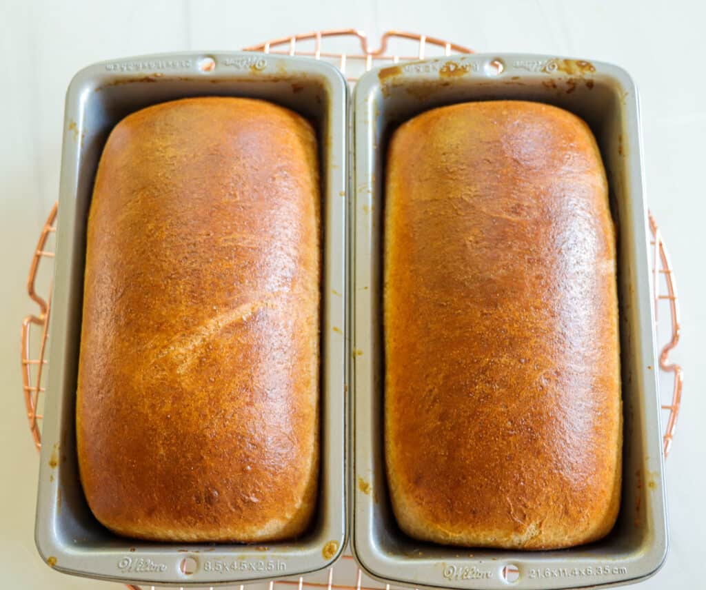 Maple Whole Wheat Sandwich Bread in a loaf pan.