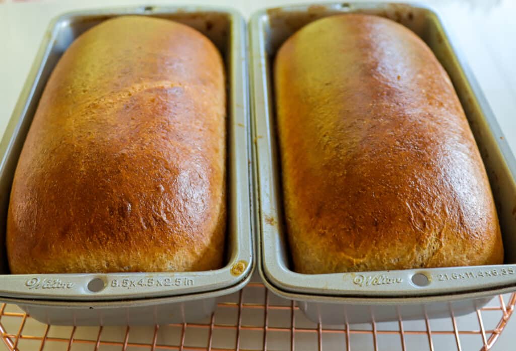 Maple Whole Wheat Sandwich Bread in a loaf pan.