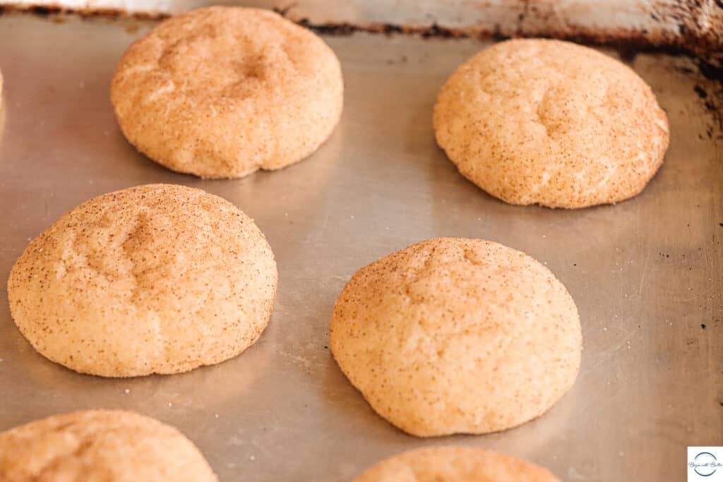 This is a picture of snickerdoodle cookies on a sheet pan.