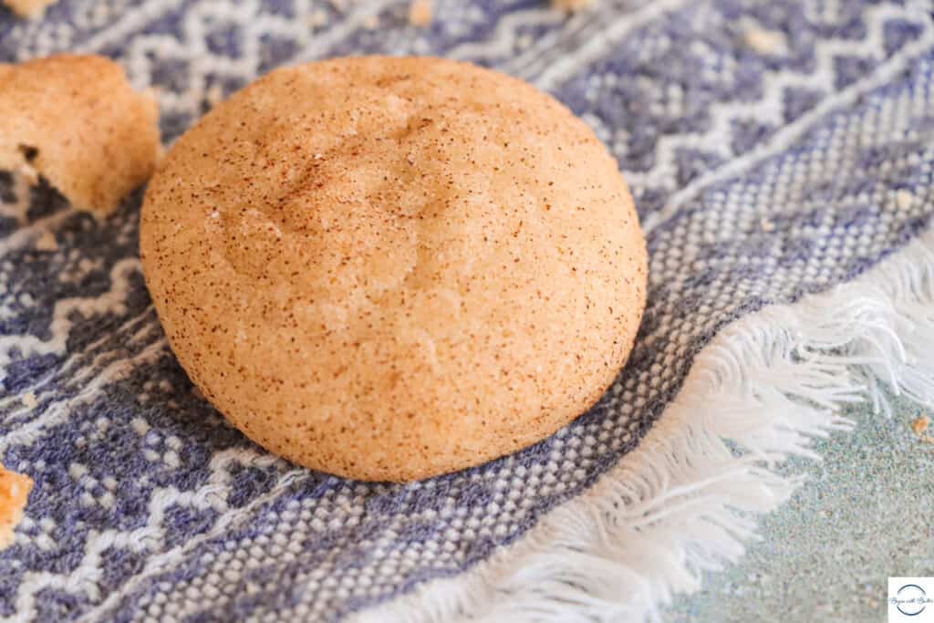 This is a picture of a snickerdoodle cookie on a tea towel.