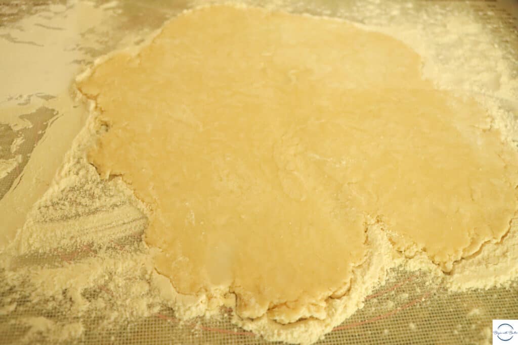 this is a photo of rolled-out pie dough.